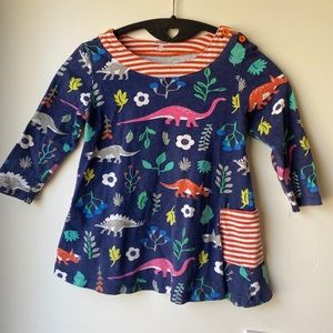 Colorful Dinosaur Tunic/Dress